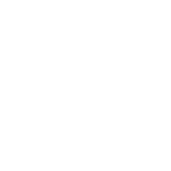 Alpinistul roman cu cele mai bune performante